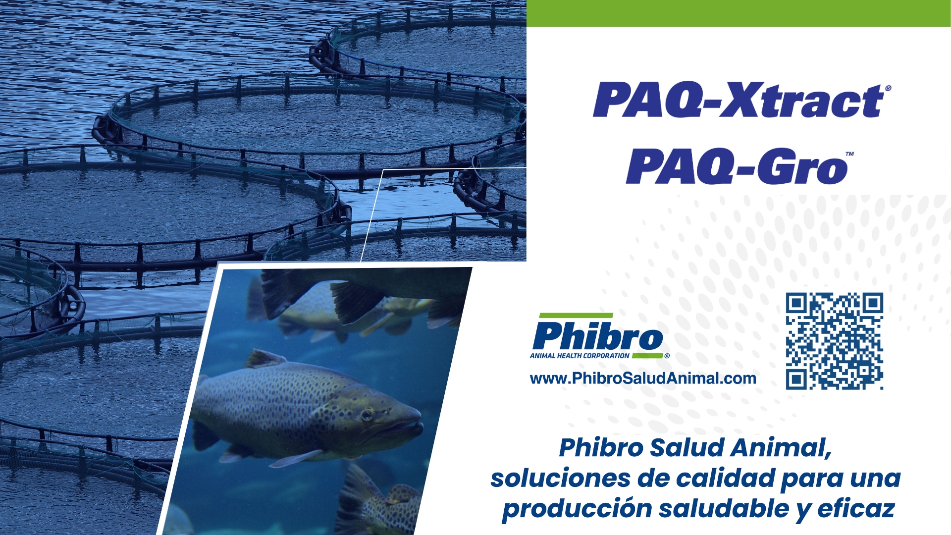 Imagen del proyecto Contenidos técnicos en salud animal y aditivos funcionales